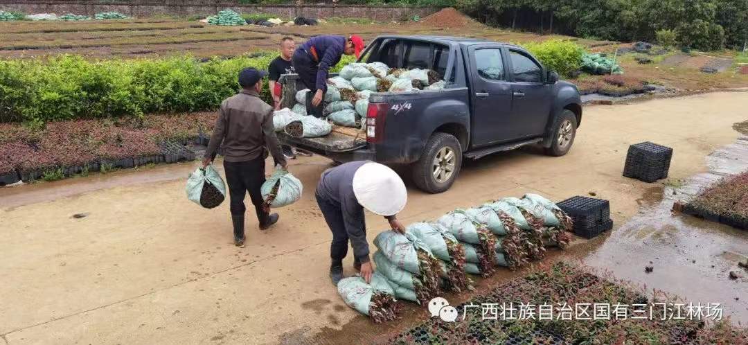 ΢ÐÅͼƬ_20220531174021.jpg ΢ÐÅͼƬ_20220531174021.jpg