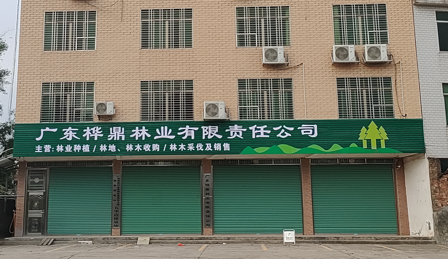 1277�Ǽʵ���(�й���)�ٷ���Ϸ��ַ