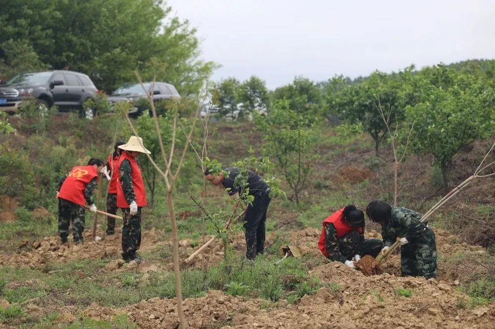 1277�Ǽʵ���(�й���)�ٷ���Ϸ��ַ