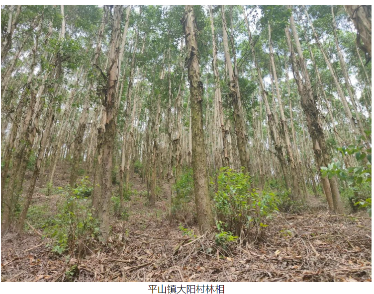 1277�Ǽʵ���(�й���)�ٷ���Ϸ��ַ