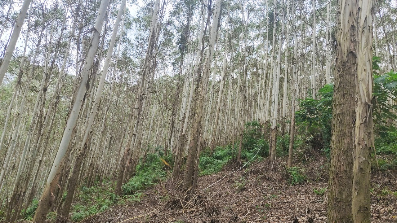 20230918101912651 1277ÐǼʵç×Ó(ÖйúÓÎ)¹Ù·½ÓÎÏ·ÍøÖ·