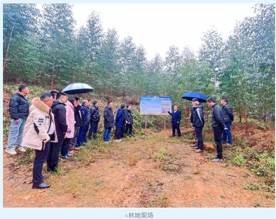 1277�Ǽʵ���(�й���)�ٷ���Ϸ��ַ