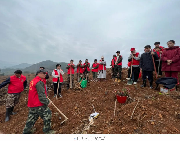 1277�Ǽʵ���(�й���)�ٷ���Ϸ��ַ