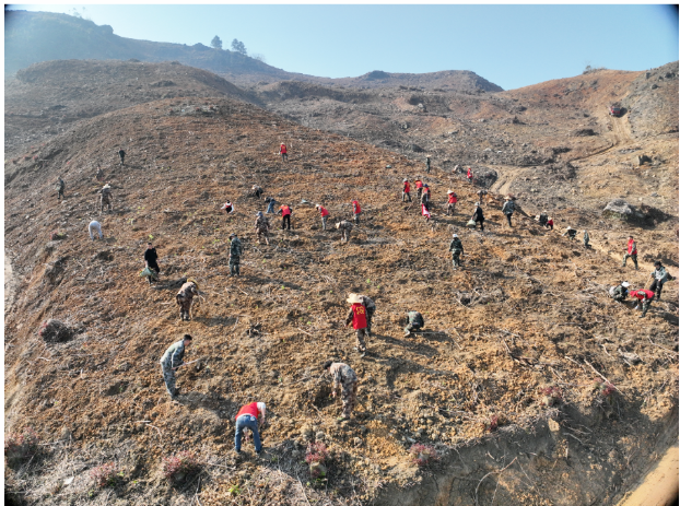 1277�Ǽʵ���(�й���)�ٷ���Ϸ��ַ