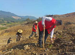 1277�Ǽʵ���(�й���)�ٷ���Ϸ��ַ