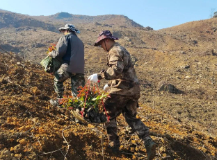 1277�Ǽʵ���(�й���)�ٷ���Ϸ��ַ