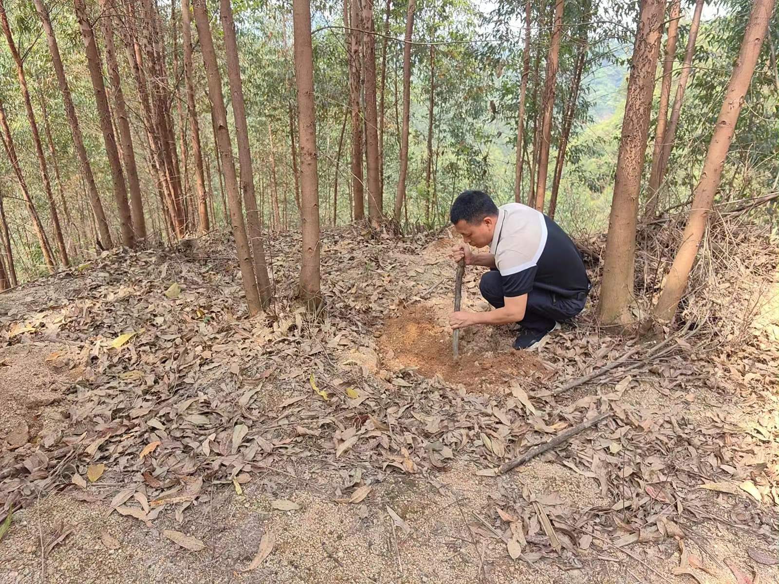 1277�Ǽʵ���(�й���)�ٷ���Ϸ��ַ