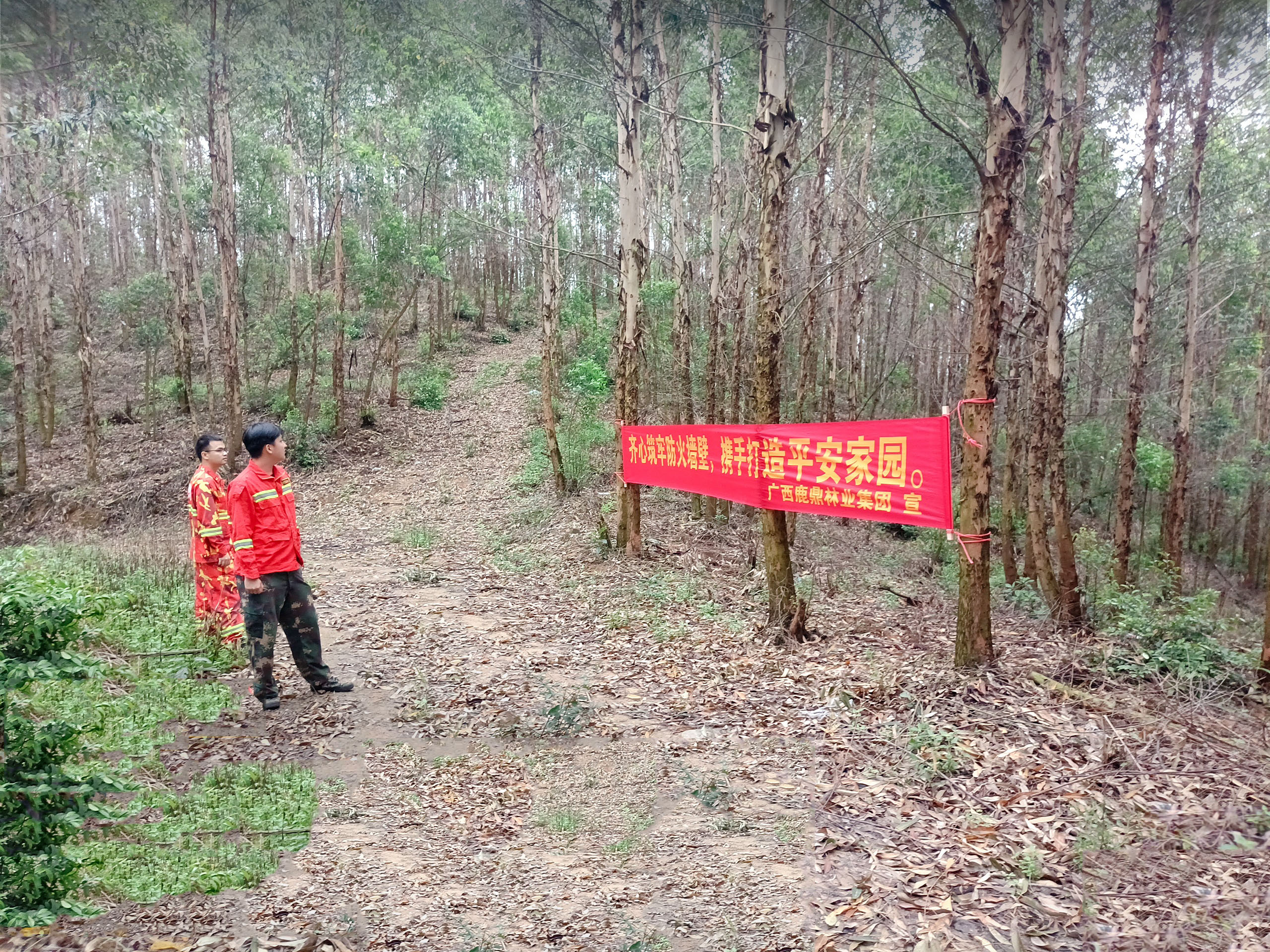 1277�Ǽʵ���(�й���)�ٷ���Ϸ��ַ