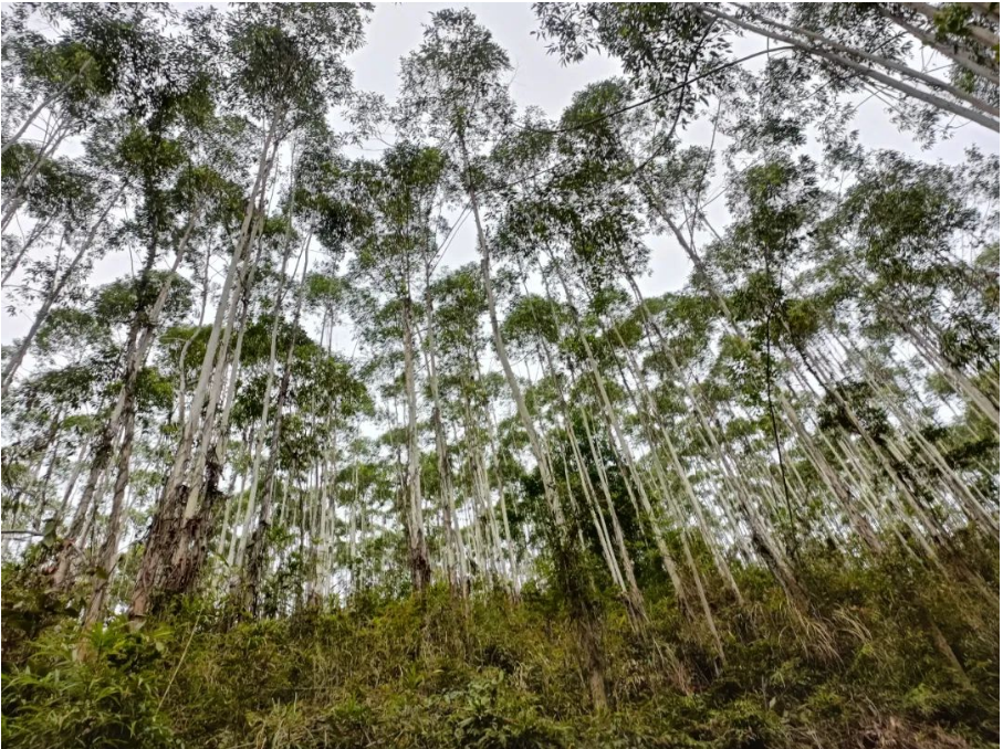 1277�Ǽʵ���(�й���)�ٷ���Ϸ��ַ