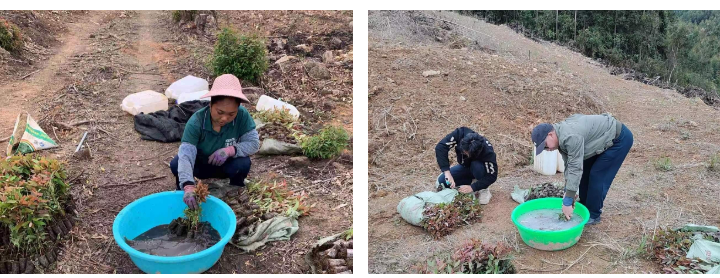 1277�Ǽʵ���(�й���)�ٷ���Ϸ��ַ