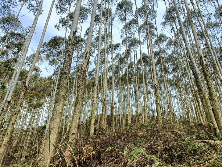 1277�Ǽʵ���(�й���)�ٷ���Ϸ��ַ