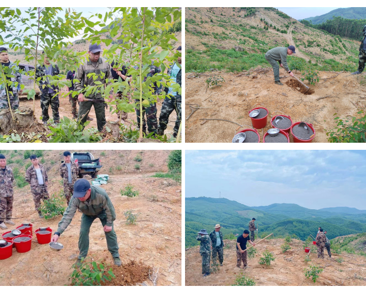 1277�Ǽʵ���(�й���)�ٷ���Ϸ��ַ