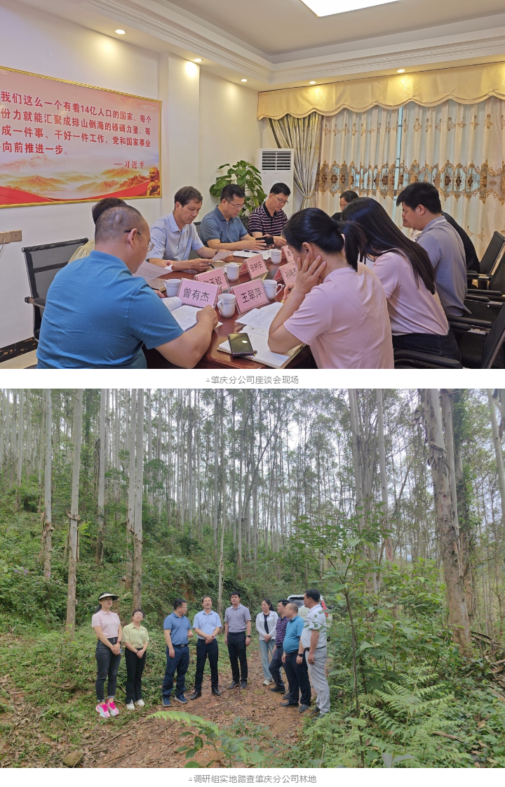 1277�Ǽʵ���(�й���)�ٷ���Ϸ��ַ