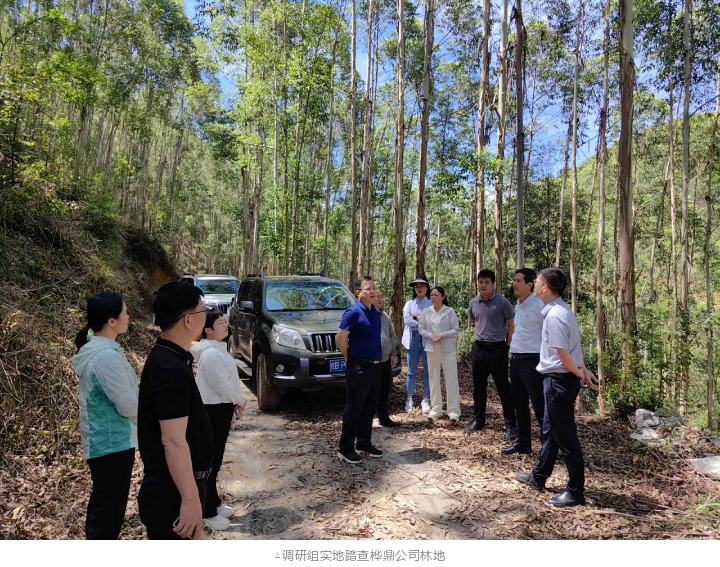 1277�Ǽʵ���(�й���)�ٷ���Ϸ��ַ