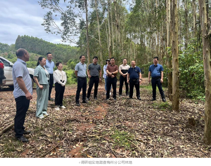 1277�Ǽʵ���(�й���)�ٷ���Ϸ��ַ