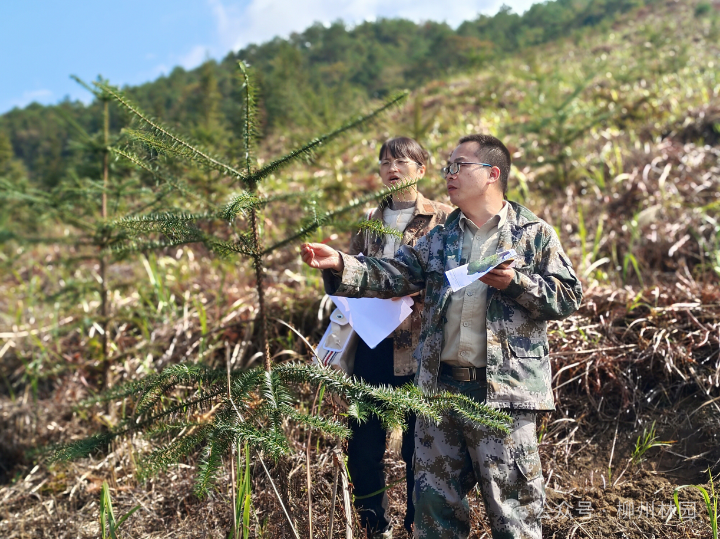 1277�Ǽʵ���(�й���)�ٷ���Ϸ��ַ