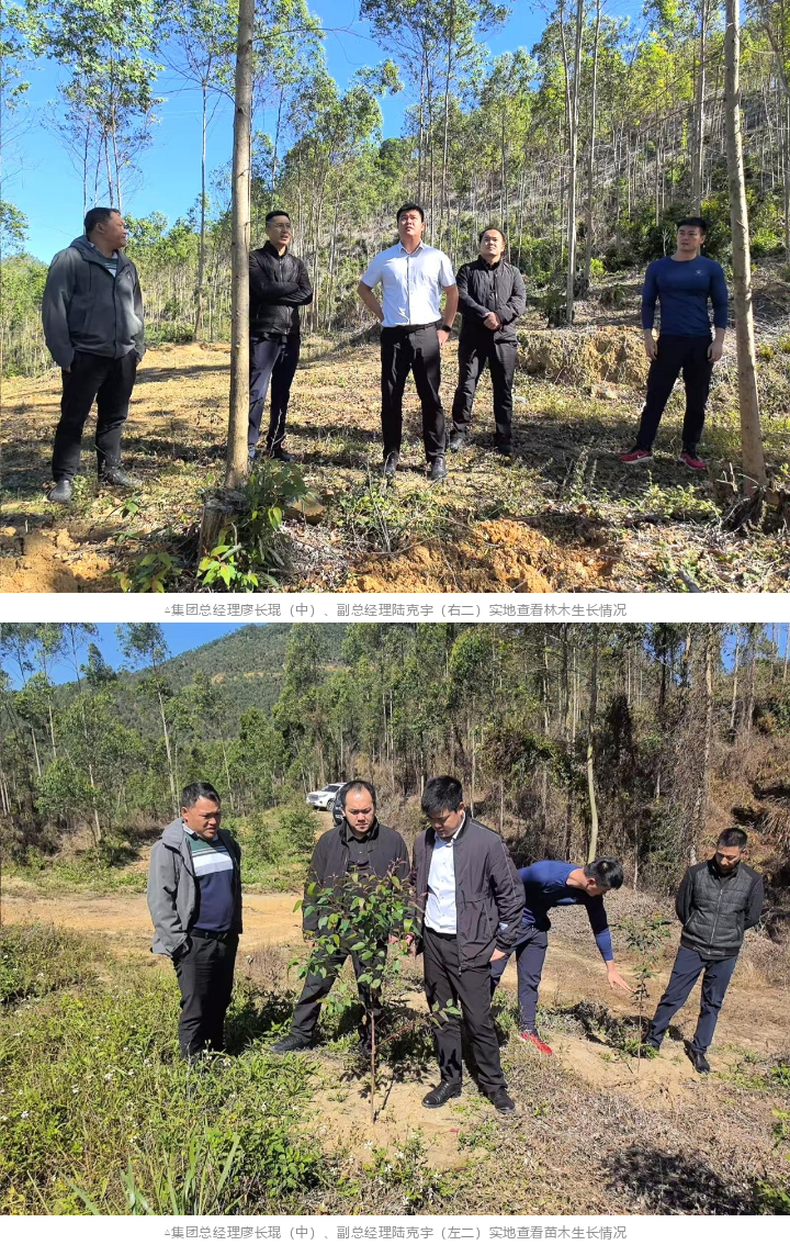 1277�Ǽʵ���(�й���)�ٷ���Ϸ��ַ