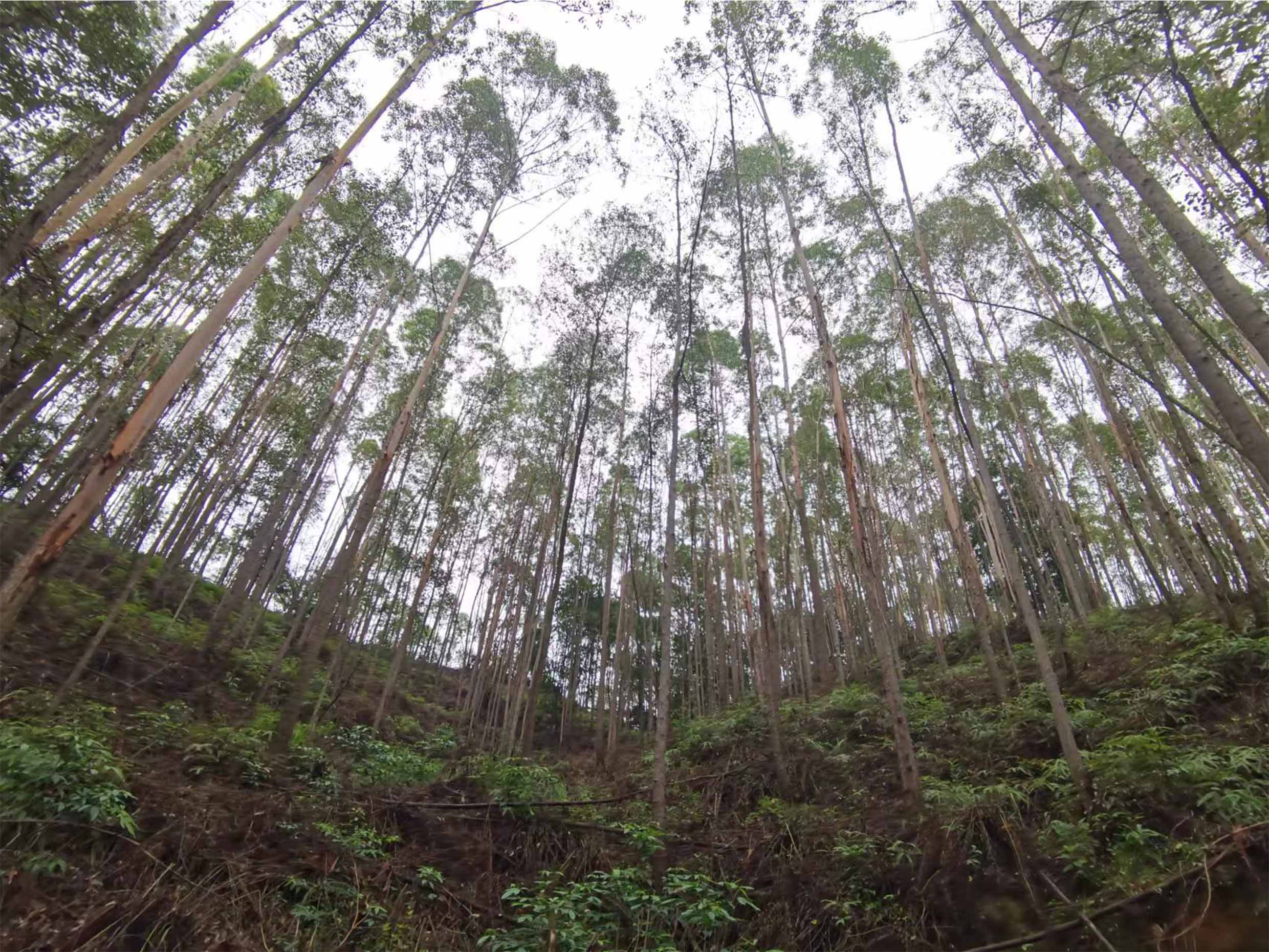 1277�Ǽʵ���(�й���)�ٷ���Ϸ��ַ