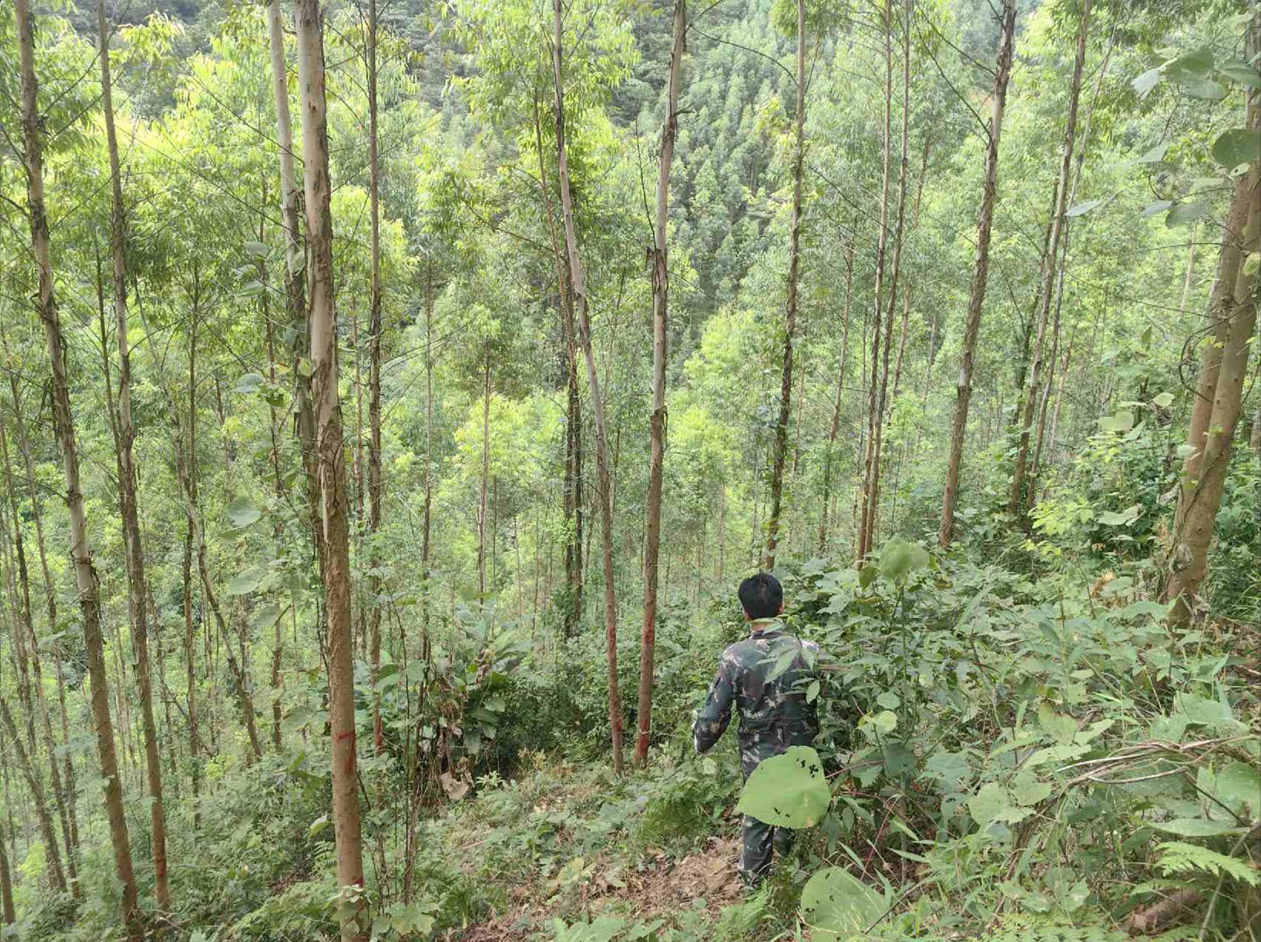 1277�Ǽʵ���(�й���)�ٷ���Ϸ��ַ