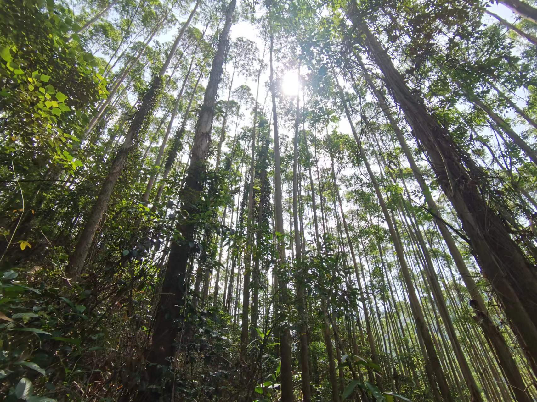 1277�Ǽʵ���(�й���)�ٷ���Ϸ��ַ