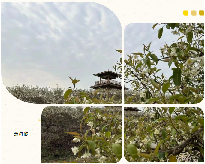 1277�Ǽʵ���(�й���)�ٷ���Ϸ��ַ