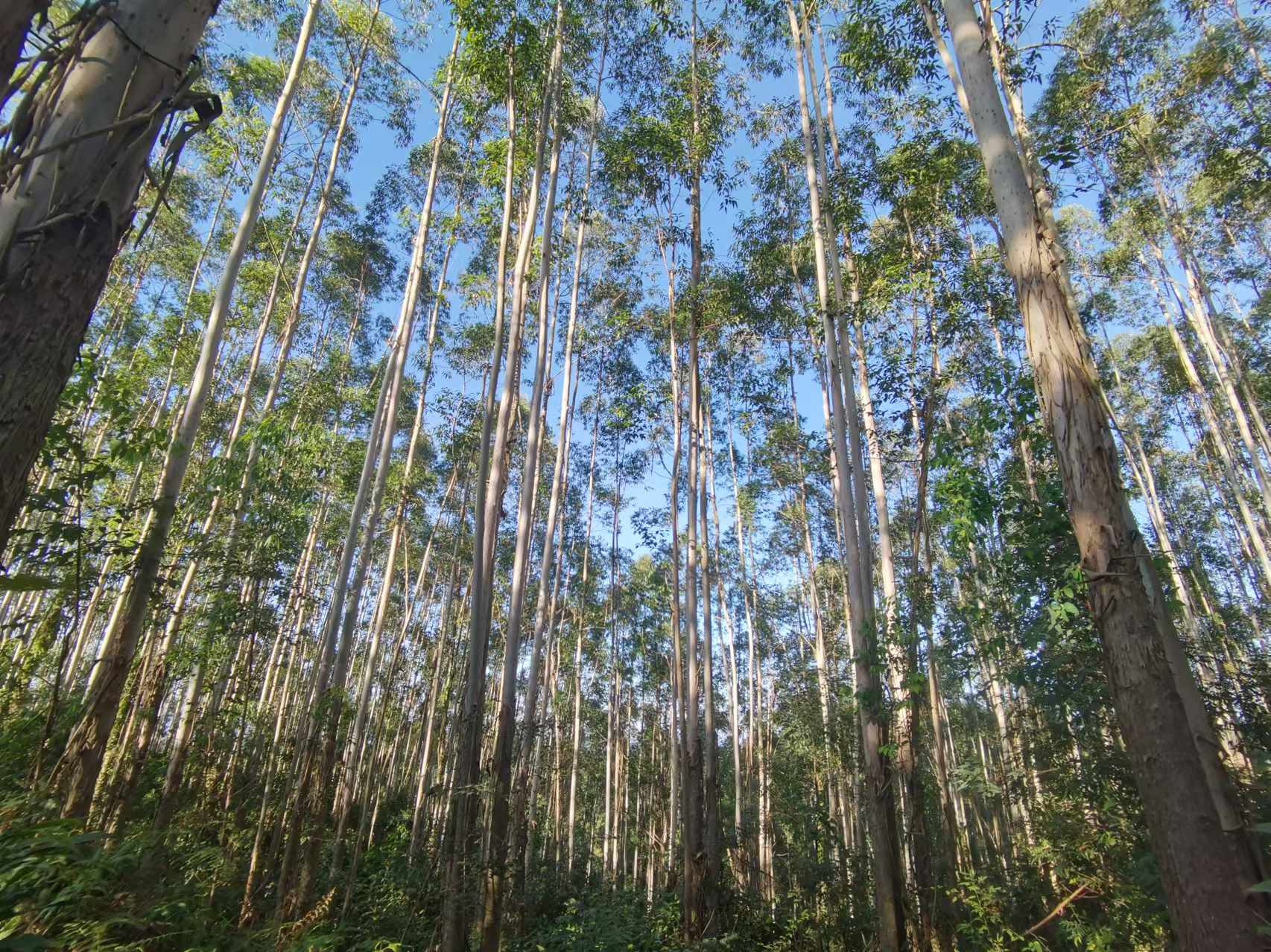 1277�Ǽʵ���(�й���)�ٷ���Ϸ��ַ