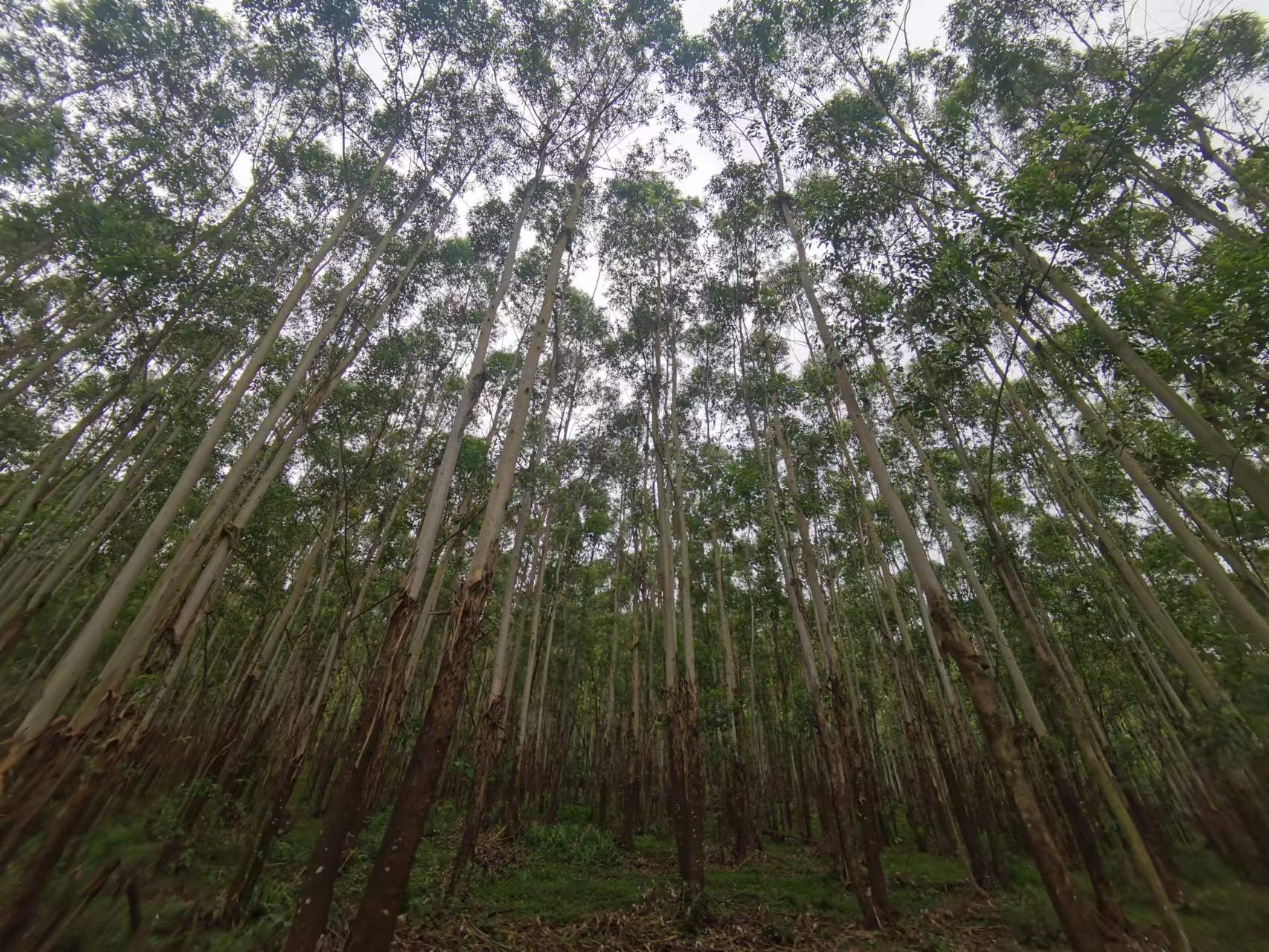 1277�Ǽʵ���(�й���)�ٷ���Ϸ��ַ