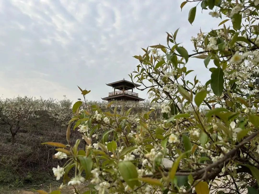 1277�Ǽʵ���(�й���)�ٷ���Ϸ��ַ