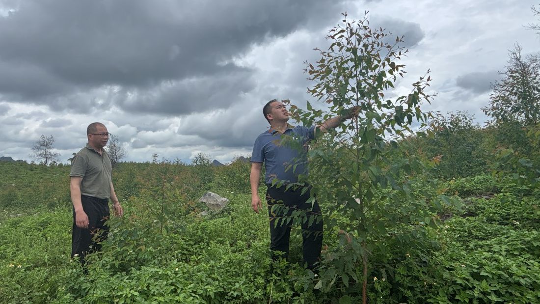 ½���¹�ɹ�˾���ָ�������ָ�������