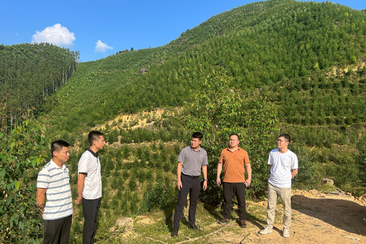 1277�Ǽʵ���(�й���)�ٷ���Ϸ��ַ