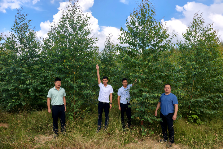 20251020100047883 1277星际电子(中国游)官方游戏网址