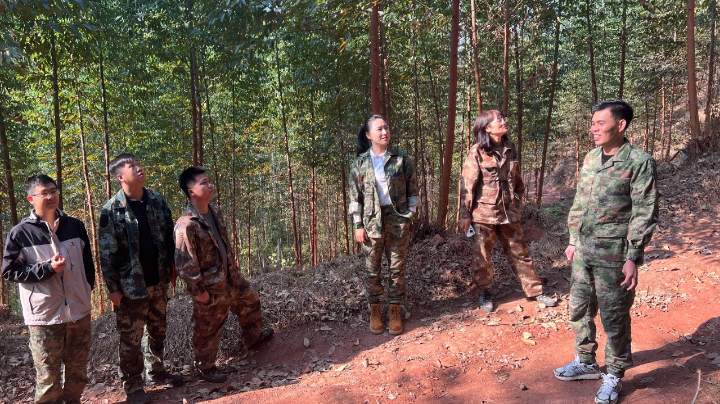 1277�Ǽʵ���(�й���)�ٷ���Ϸ��ַ