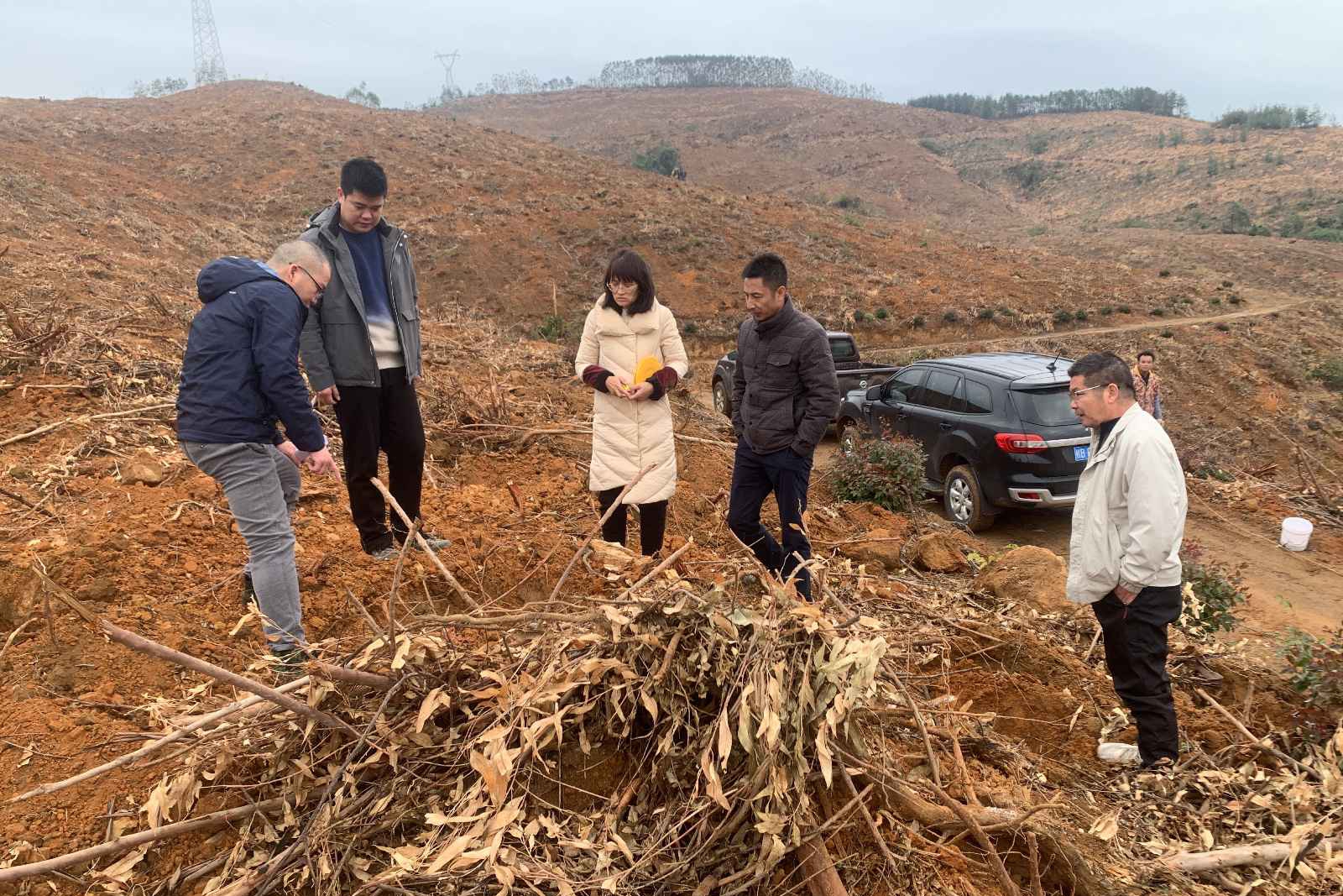 �γ�����¹�ɹ�˾����ֳ��ֵ�ָ�����ֱ�������