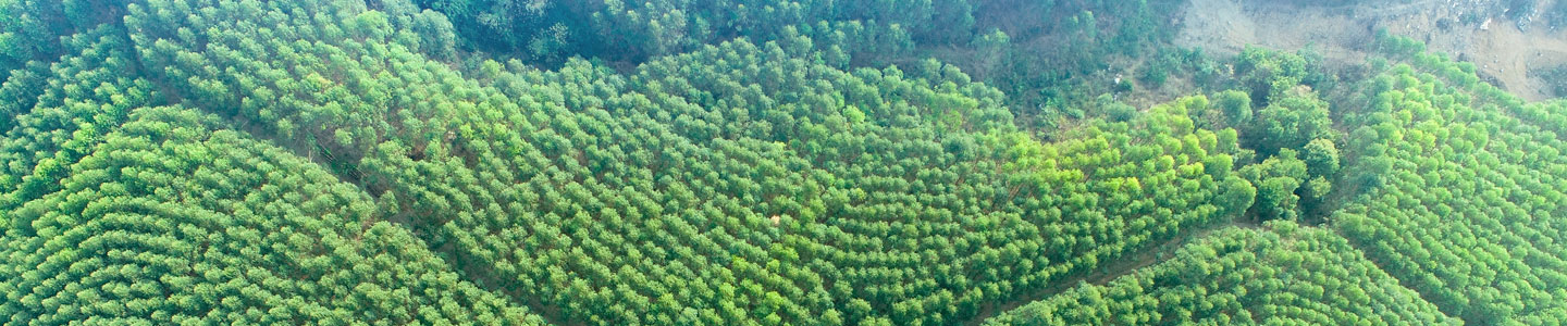 1277�Ǽʵ���(�й���)�ٷ���Ϸ��ַ