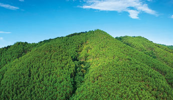 1277�Ǽʵ���(�й���)�ٷ���Ϸ��ַ